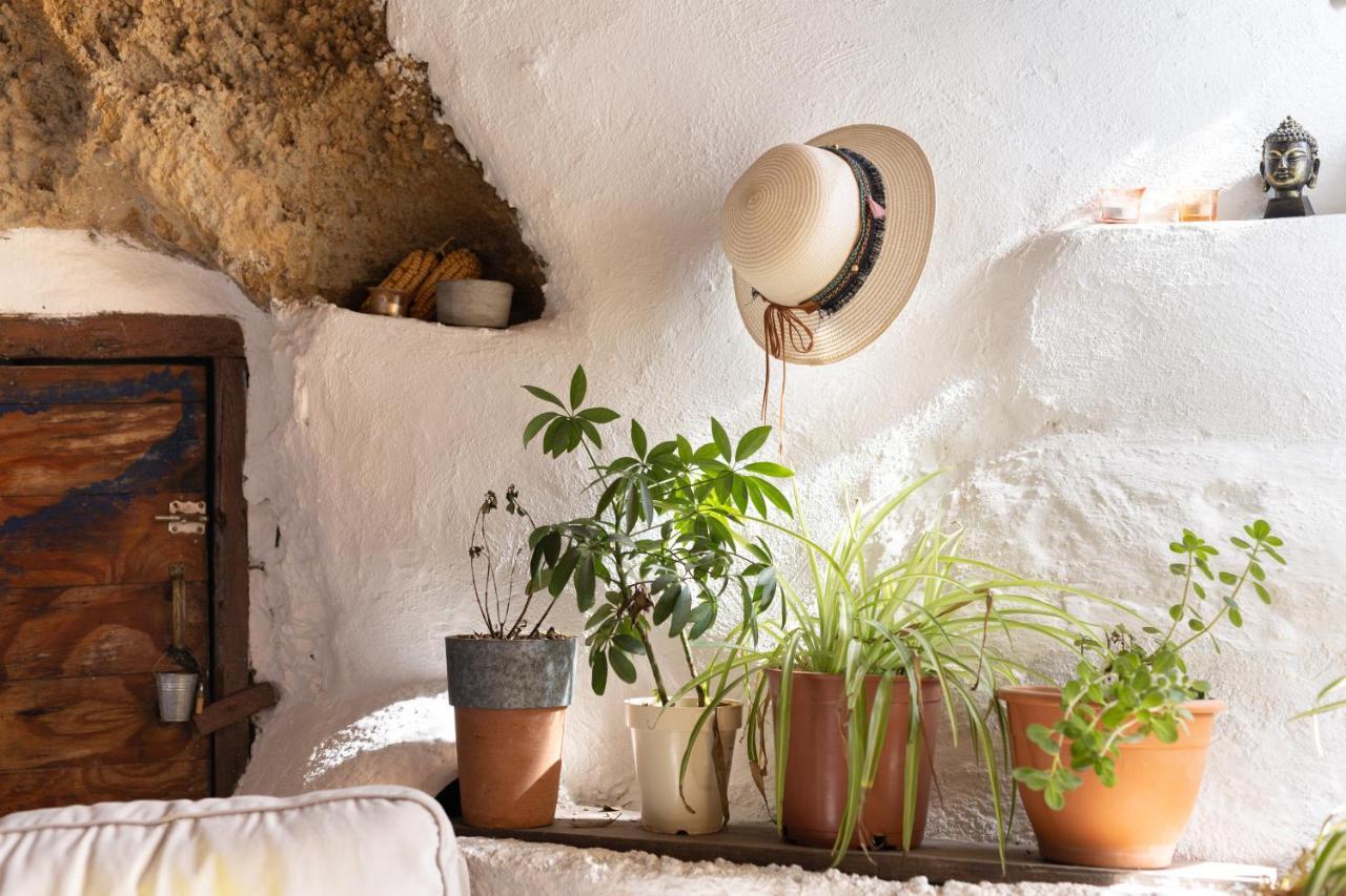 Casa Cueva Gaspara Arico エクステリア 写真