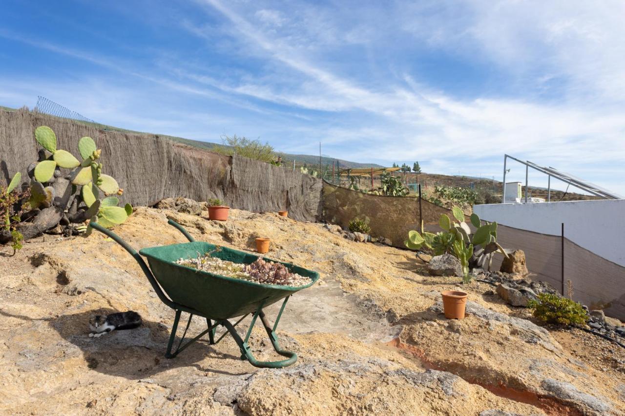 Casa Cueva Gaspara Arico エクステリア 写真